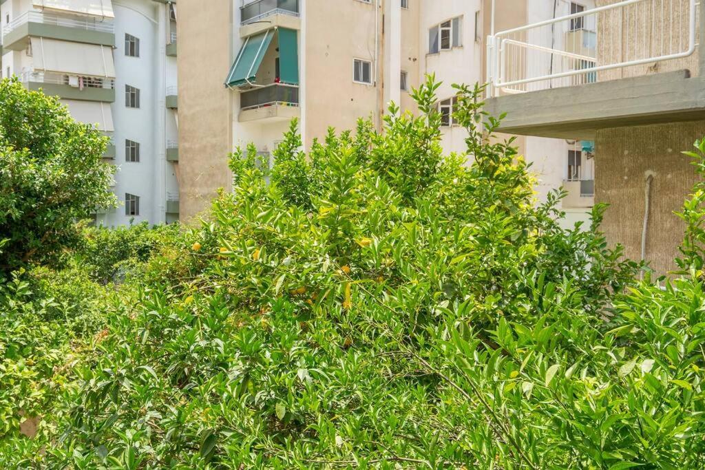 אתונה Alimos Sun-Filled Apartment מראה חיצוני תמונה